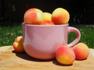 Large ceramic mug with apricots
