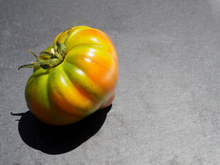 Brown fruit of a tomato, close-up