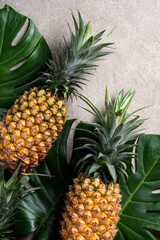 Obraz premium Fresh pineapple with tropical leaves on gray background.