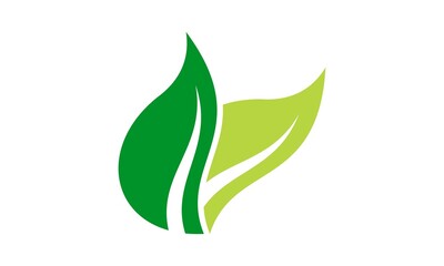 nature leaf vector icon