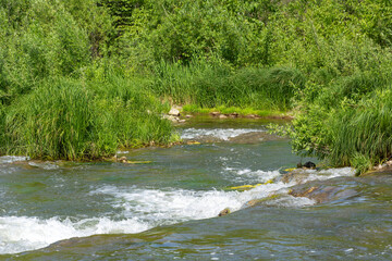 Threshold on the small taiga river Suenga