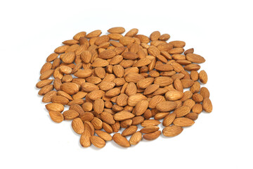 Almond Plant