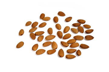 Almond Plant