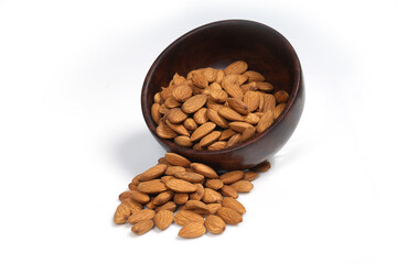 Almond Plant