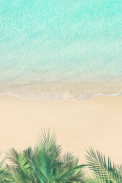 Top and aerial view on tropical sand beach with SUP board for surfing on the shore, palm tree and sea. Ocean coastline. Drone photo. Background. Copy space. vertical