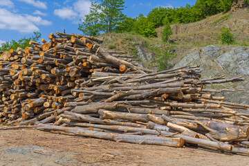 Wood Logs Timber