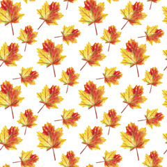 Fototapeta premium Watercolor seamless pattern with fallem leaves, autumn forest background.
