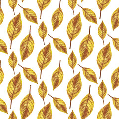 Watercolor seamless pattern with fallem leaves, autumn forest background.