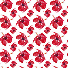 Fototapeta na wymiar Watercolor seamless pattern with tropical hibiscus flowers, summer background.