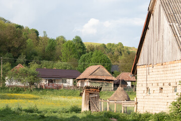 Transylavnian village life evolved around trees and animals