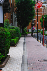 Obraz premium 日本の東京港区赤坂4丁目の美しい歩道
