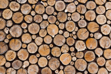 Background of round dry wooden cuts