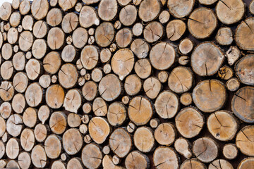 Background of round dry wooden cuts