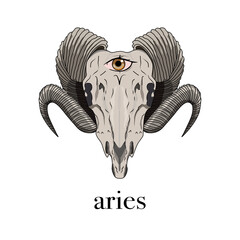 Aries. Zodiac. Artistic, colorful, hand drawn Aries with symbols on white background.
