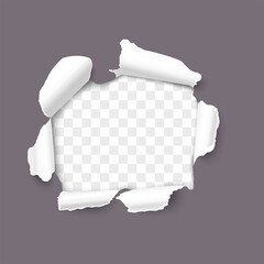 Torn paper realistic vector background. Hole in the sheet of paper on a transparent background