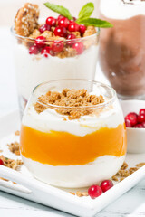 desserts with pumpkin, chocolate and biscuits on white tray, closeup