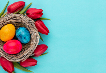 Easter eggs in the nest. Spring flowers tulips.Spring greeting card.