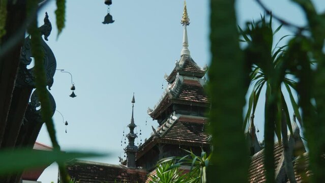 4K Cinematic landscape footage of a buddhist temple monument at Wat Chedi Luang in Chiang Mai, North Thailand on a sunny day in slow motion from behind some vegetation.