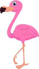 Cute flamingo standing on white background
