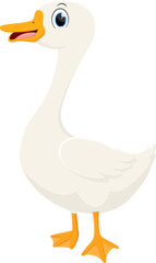 Funny duck cartoon isolated on white background	
