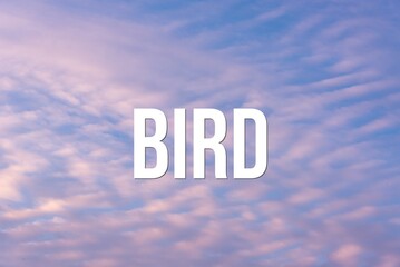 BIRD - word on the background of the sky with clouds.