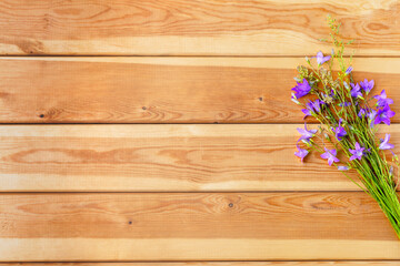 Purple flowers-bells on a wooden background for congratulations. Space for copying.