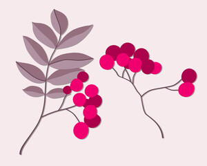 Obraz na płótnie Canvas Variety of colorful trendy autumn leaves and berries. Vector illustrations for web, app and print. Elegant shapes floristic isolated rowan leaves. Forest, botanical, minimalistic floral set.