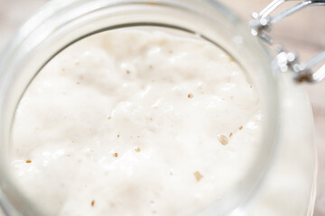 Sourdough starter