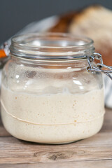 Sourdough starter
