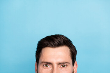Cropped photo of guy head empty space advertise hairstylist treatment for soft hair isolated blue color background