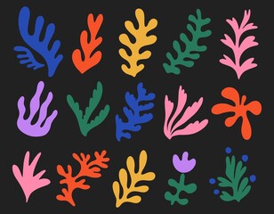 Set of hand drawn exotic jungle leaves, flowers and plants. Abstract modern trendy vector illustration. Perfect for posters, instagram posts, stickers.