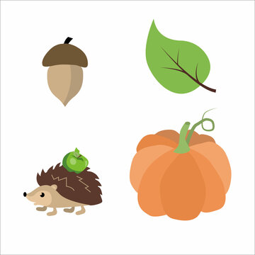 Set of pictures for autumn. Acorn. Green leaf. Hedgehog with an apple. Pumpkin. Vector illustration isolated on white background.