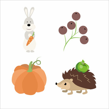 Set of pictures for autumn. Hare with a carrot. Berries. Hedgehog with an apple. Pumpkin. Vector illustration isolated on white background.