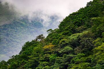 Panama mountains covered by rainforest with mist and fog, landscape