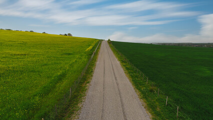 Peaceful journey. A country road among hopeful yellow and green grass. Beautiful sky view and sunset.