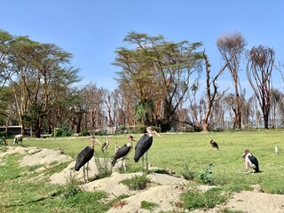 Africa - Life in Kenya