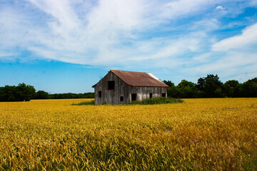 landscape with barn © Photos By Lora