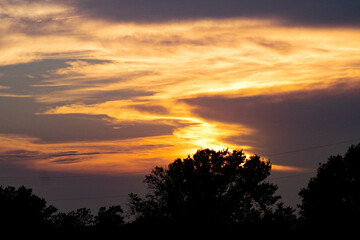 sunset over the trees