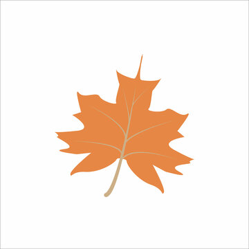 Orange maple leaf. Vector illustration isolated on white background.