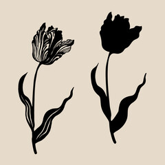 Tulips. Set of tulip silhouettes. A beautiful collection of decorative flowers isolated on a beige background. Vector illustration.