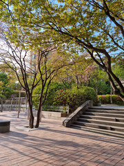 Spring park with stairs in seoul korea.