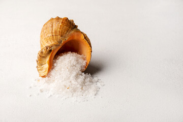 Organic spa sea salt is poured into a pile and a shell from the sea on a light surface. Spa concept. Selective focus.