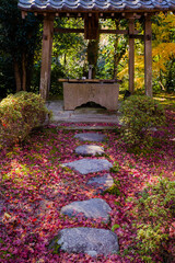 Obraz premium 松尾寺（大阪府和泉市）の紅葉