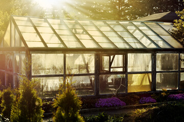 Old greenhouse at sunset