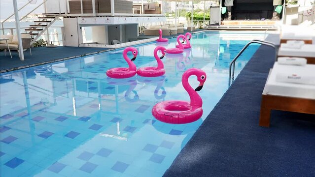beach flamingos. Pink pool inflatable flamingos for summer beach, in a beautiful indoor pool.