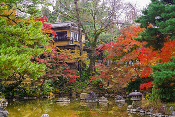 京都清水寺の紅葉