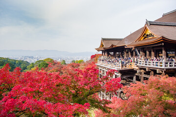 京都清水寺の紅葉