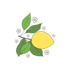 Fototapeta na wymiar Hand-drawn vector illustration with juicy lemon. Bright vector illustration. 