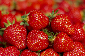 Organic and fresh strawberries in farmer market.A market stall with boxes of fresh strawberries