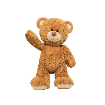 Naklejki Cute teddy Cute teddy bear isolated on white background.